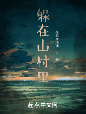 躲在山村里封面